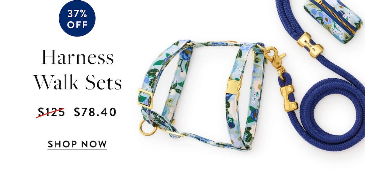Shop sale harness walk sets