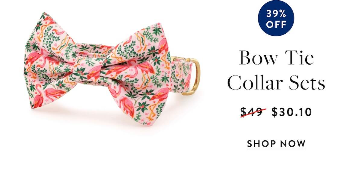 Shop sale bow tie collar sets