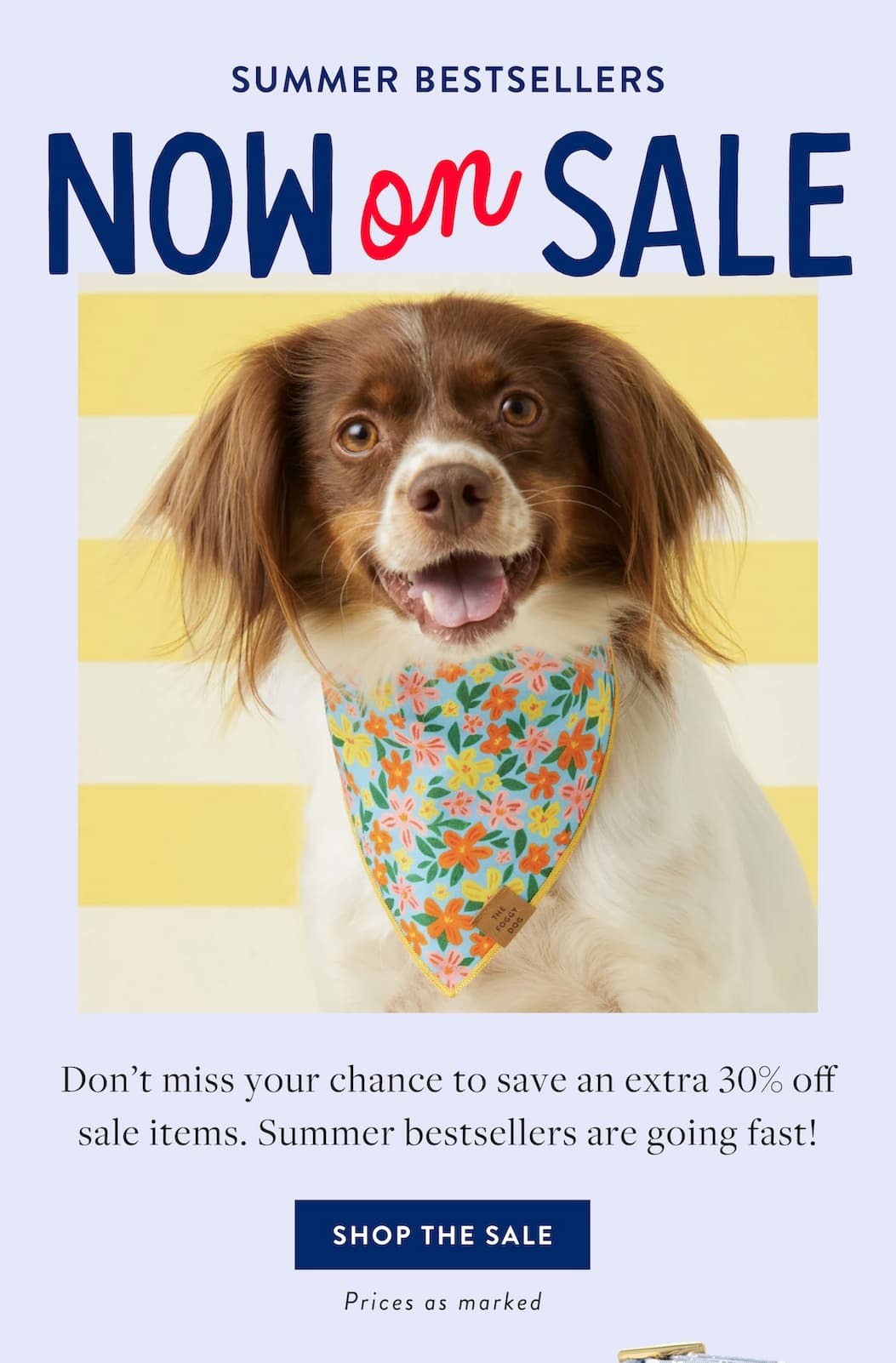 Shop the Sale