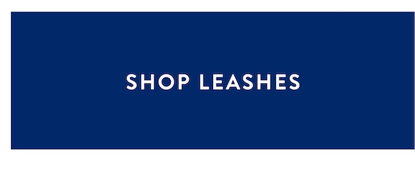 leashes
