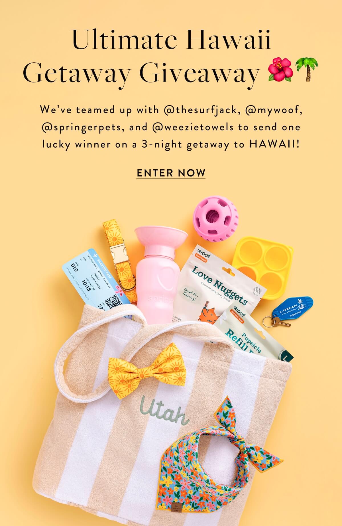 ENTER NOW