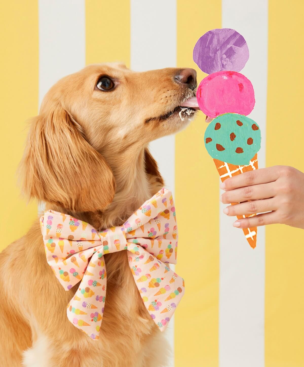 Shop Ice Cream