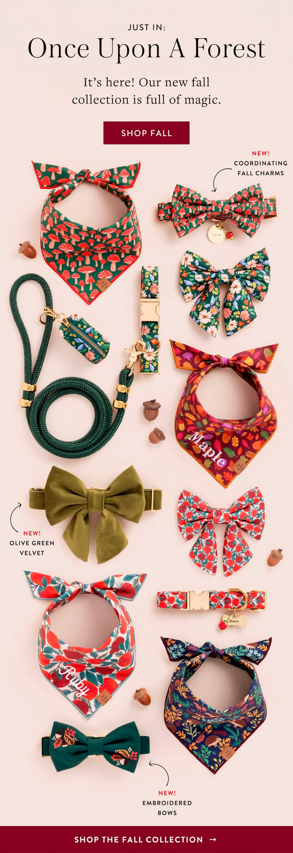 Shop Fall 
