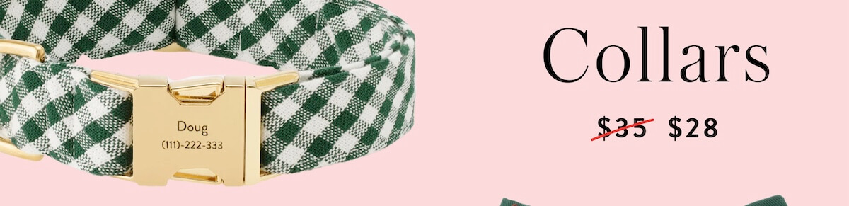 Shop Fall Collars