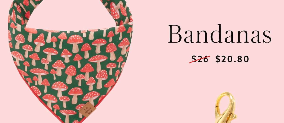 Shop Fall Bandanas