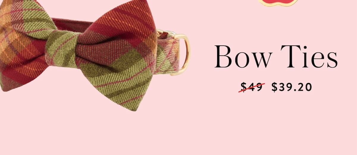 Shop Fall Bows