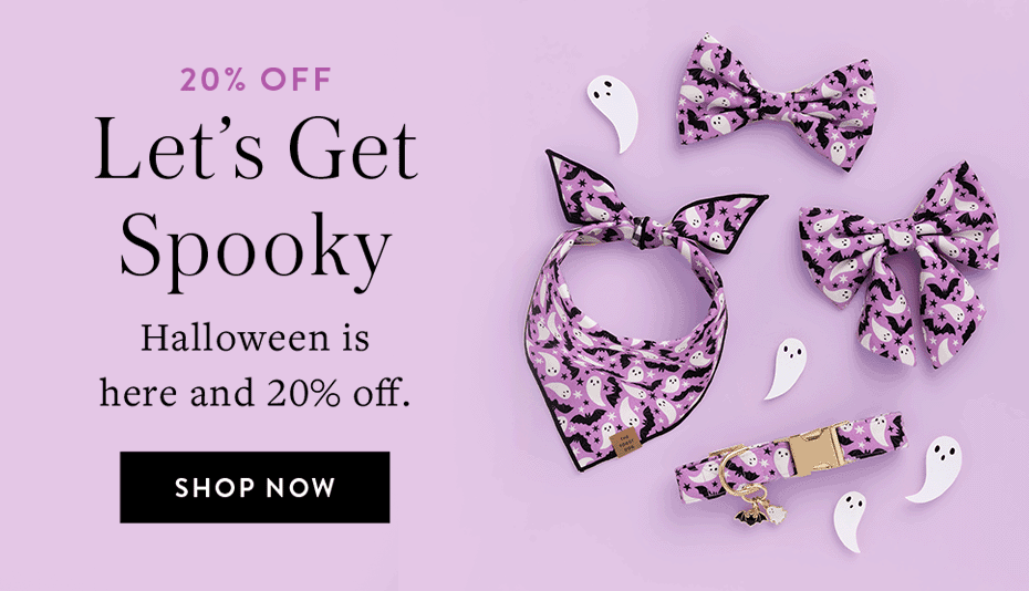 Shop Halloween