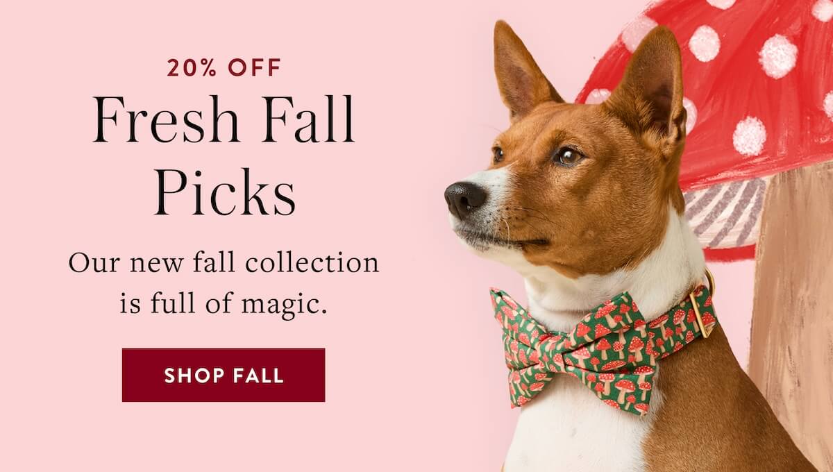 Shop Fall