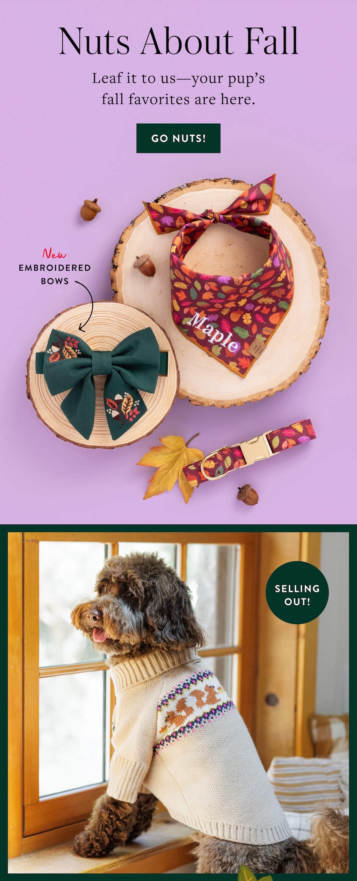 Shop Fall