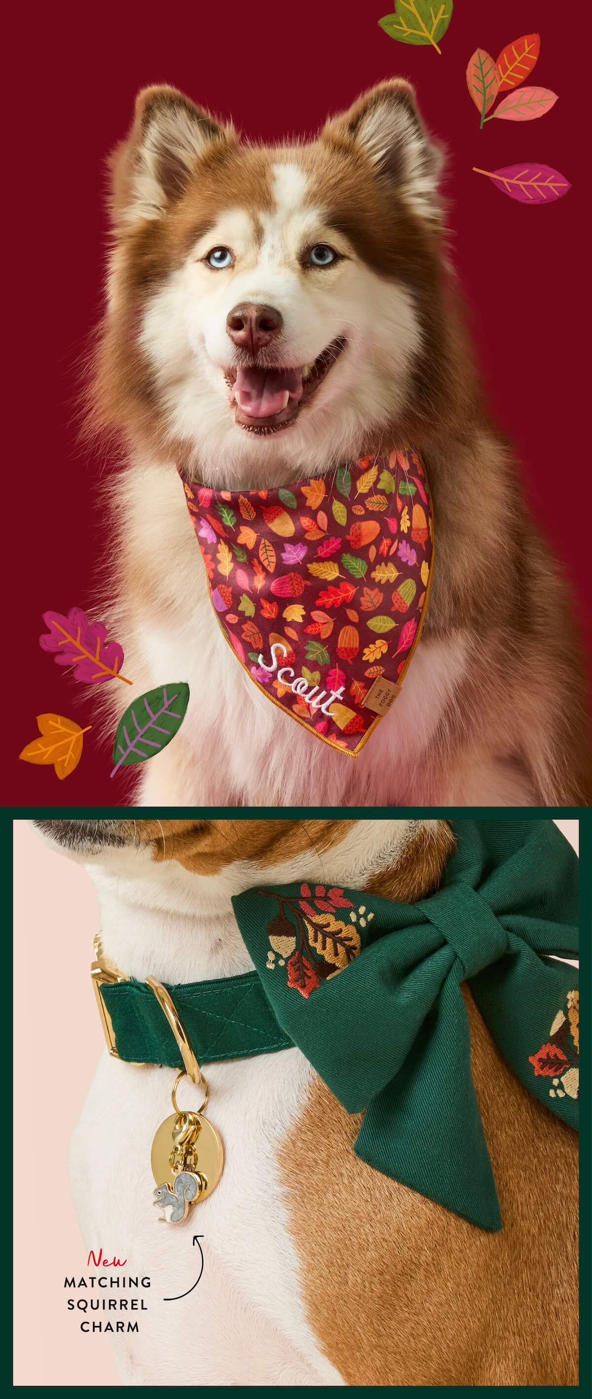 Shop Fall