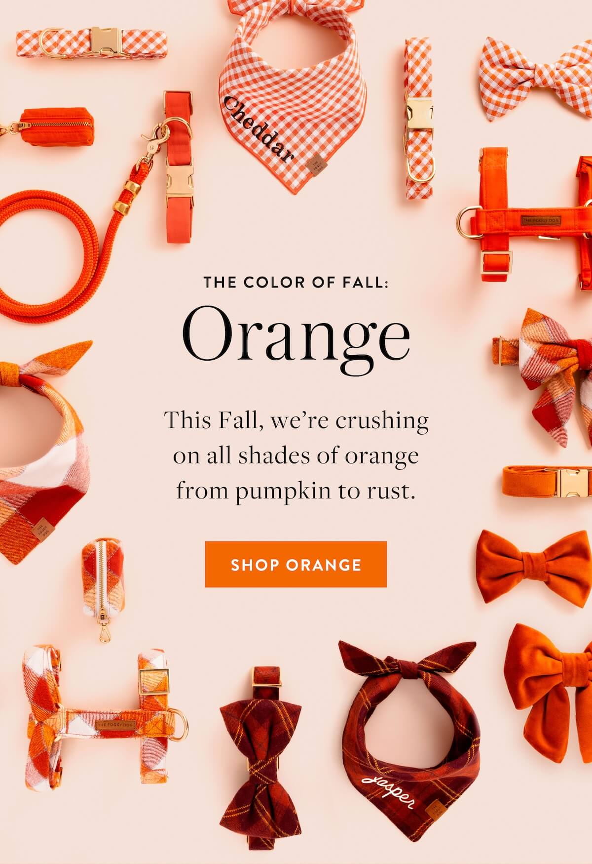 Shop Orange Crush