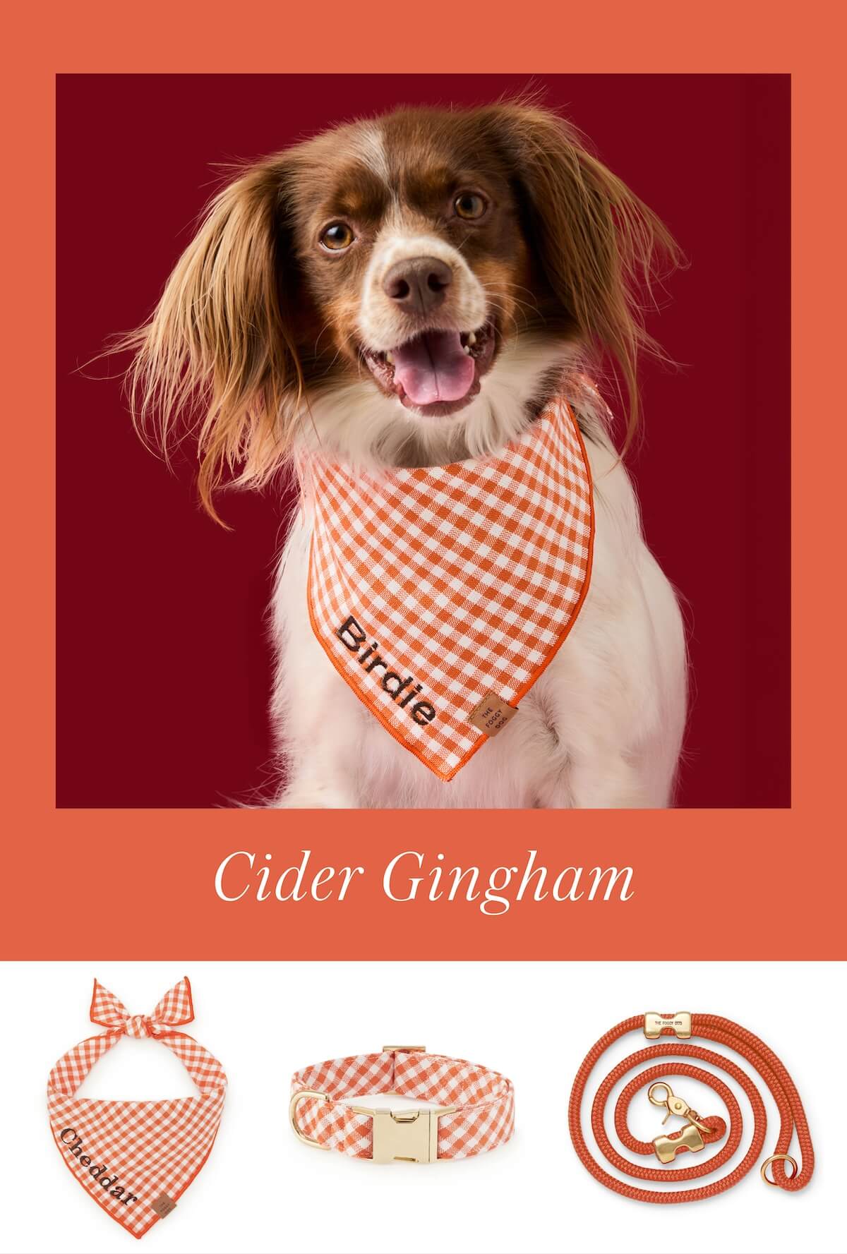 Shop Orange Crush