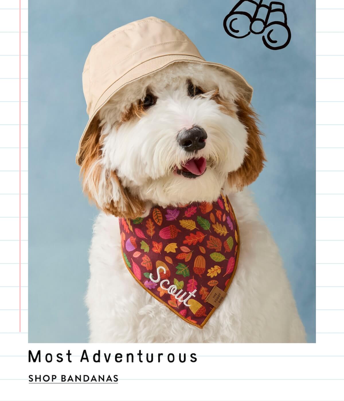 Shop Bandanas