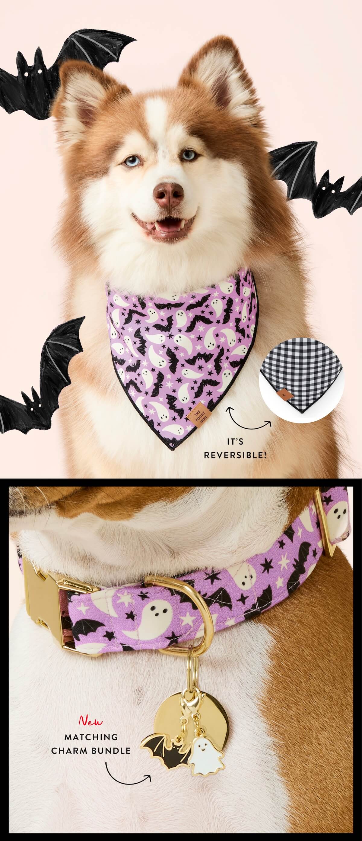 Shop Halloween