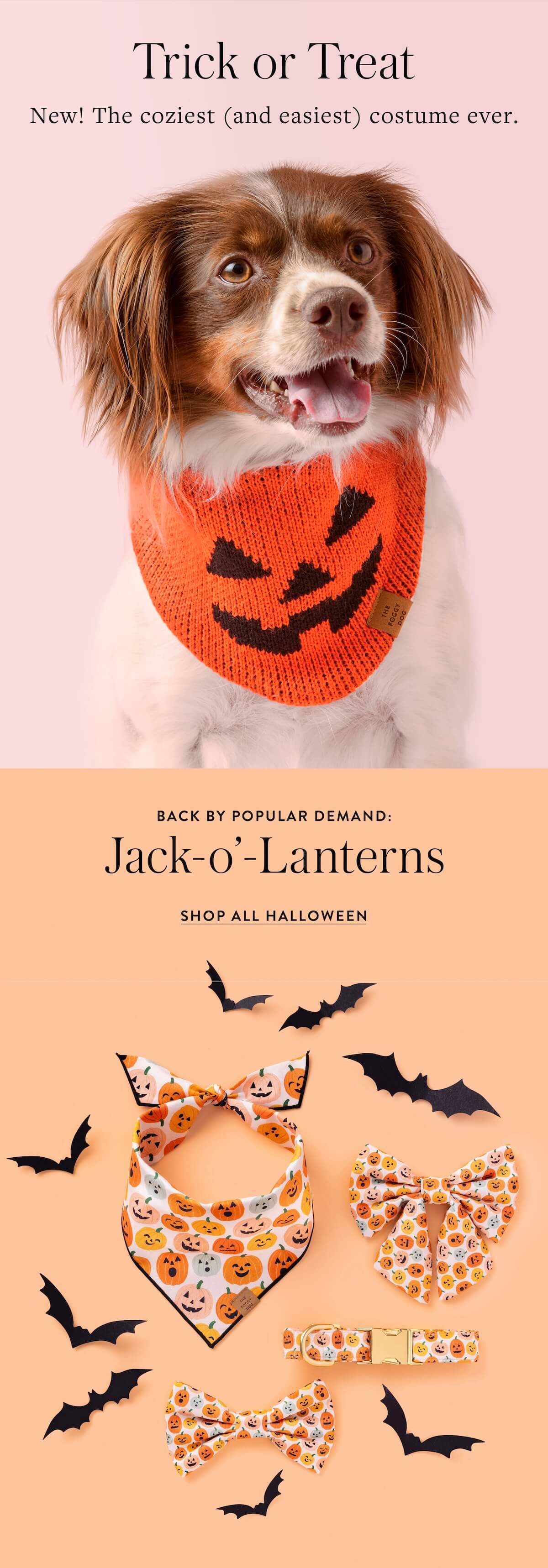 Shop Halloween