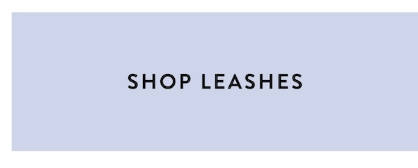 leashes