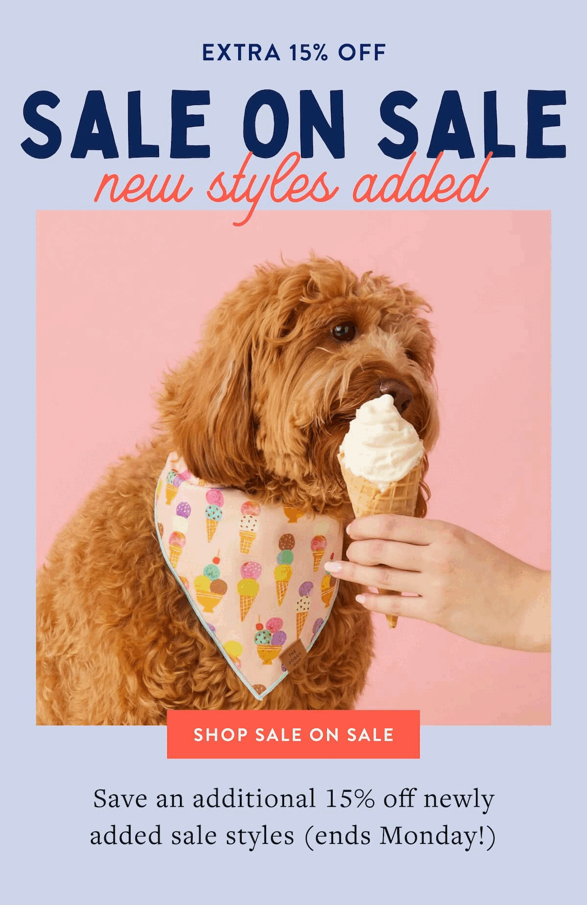 Shop Sale on Sale