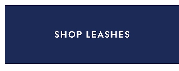 leashes