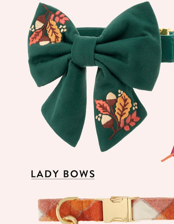 Shop Lady Bows