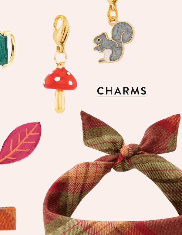 Shop Charms