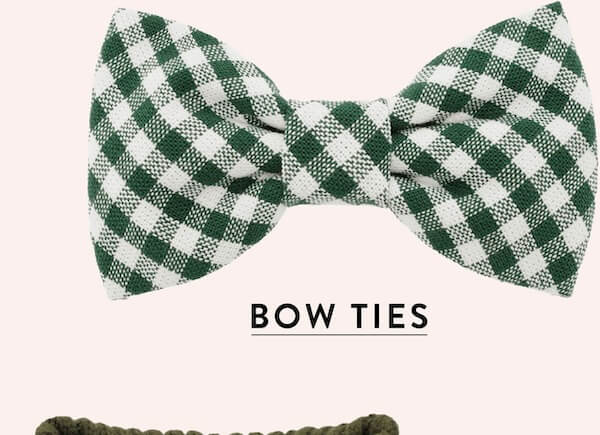 Shop Bow Ties