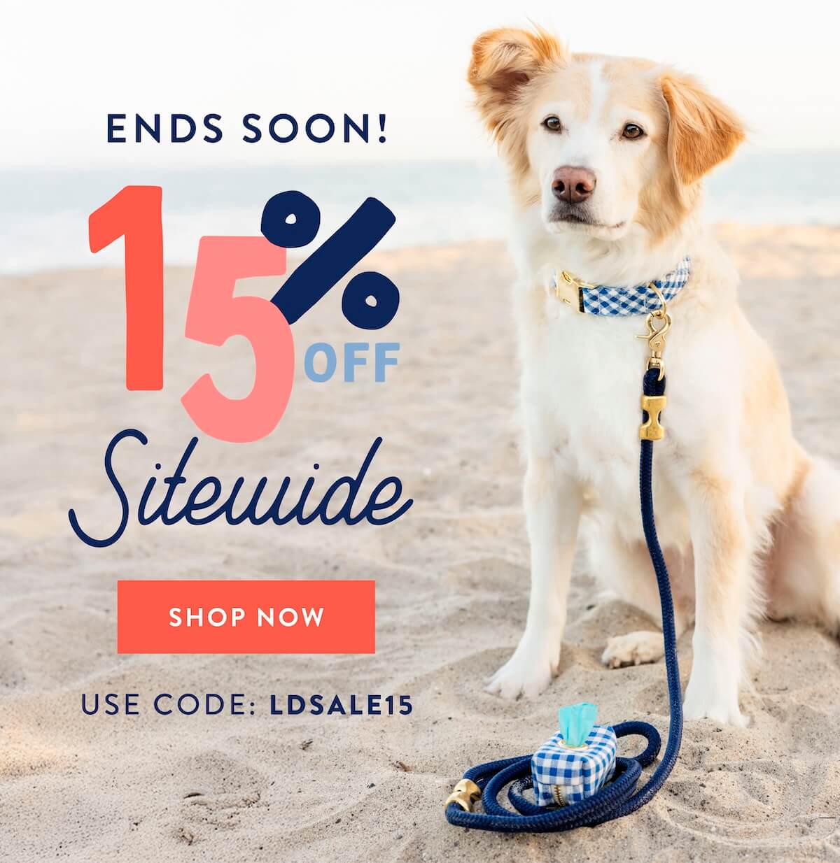 Shop Now