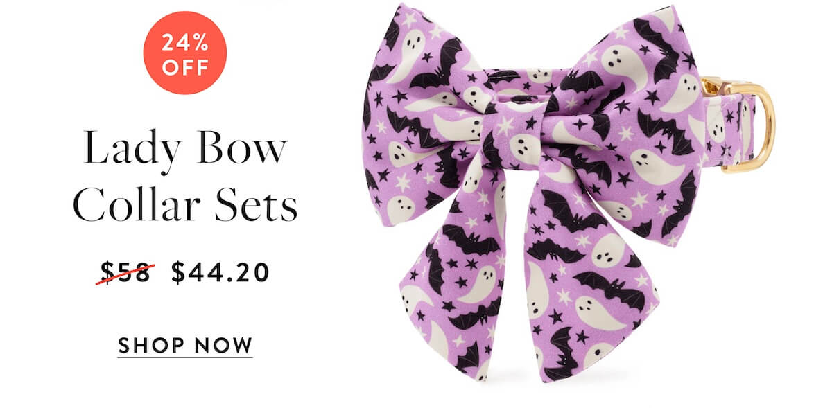 Shop Lady Bow Sets