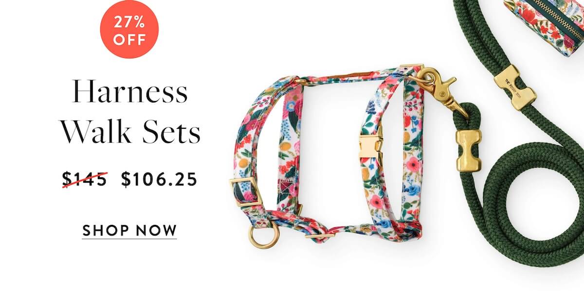 Shop Harness Walk Sets