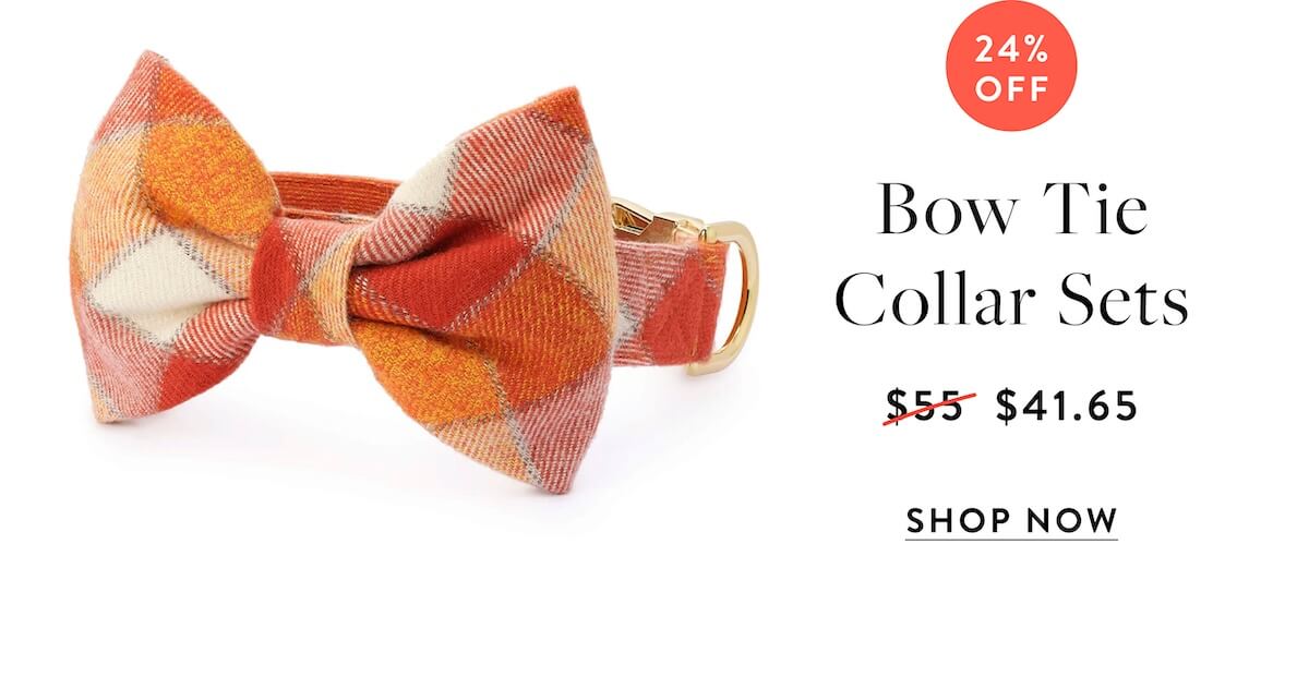 Shop Bow Tie Collar Sets