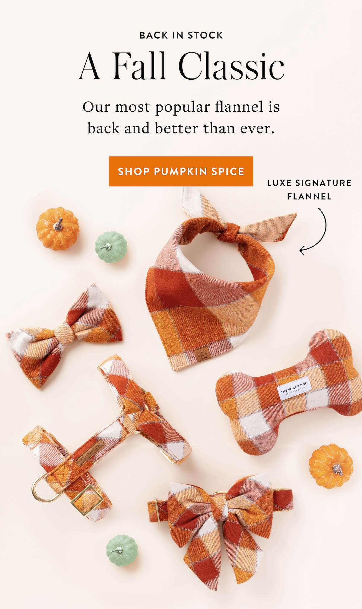 Shop Pumpkin Spice Flannel