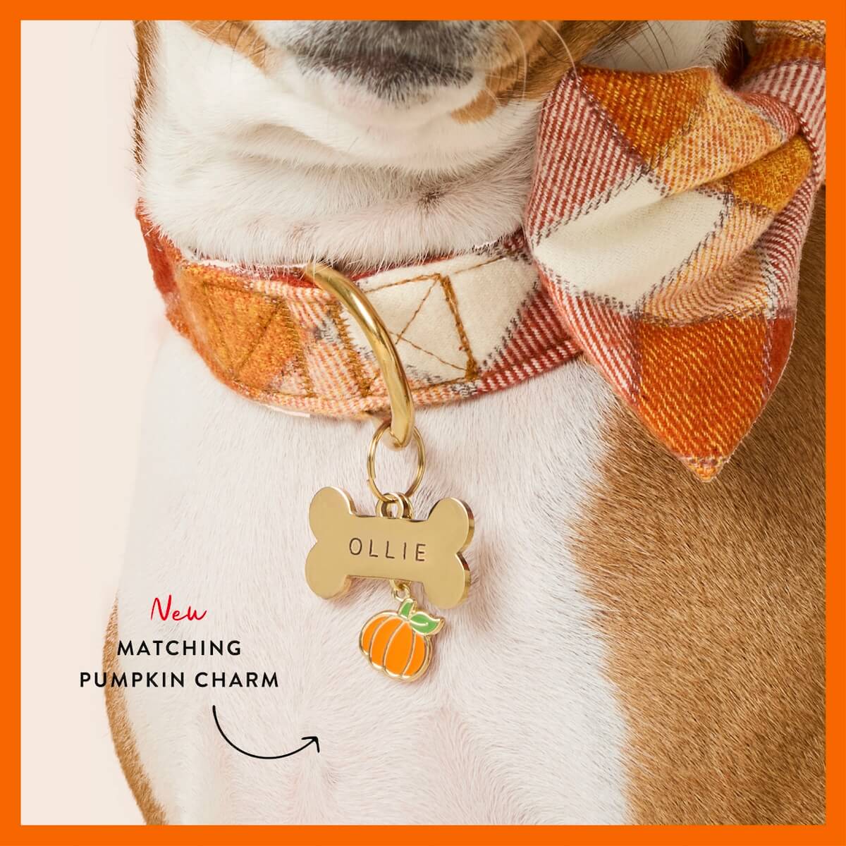 Shop Pumpkin Spice Flannel
