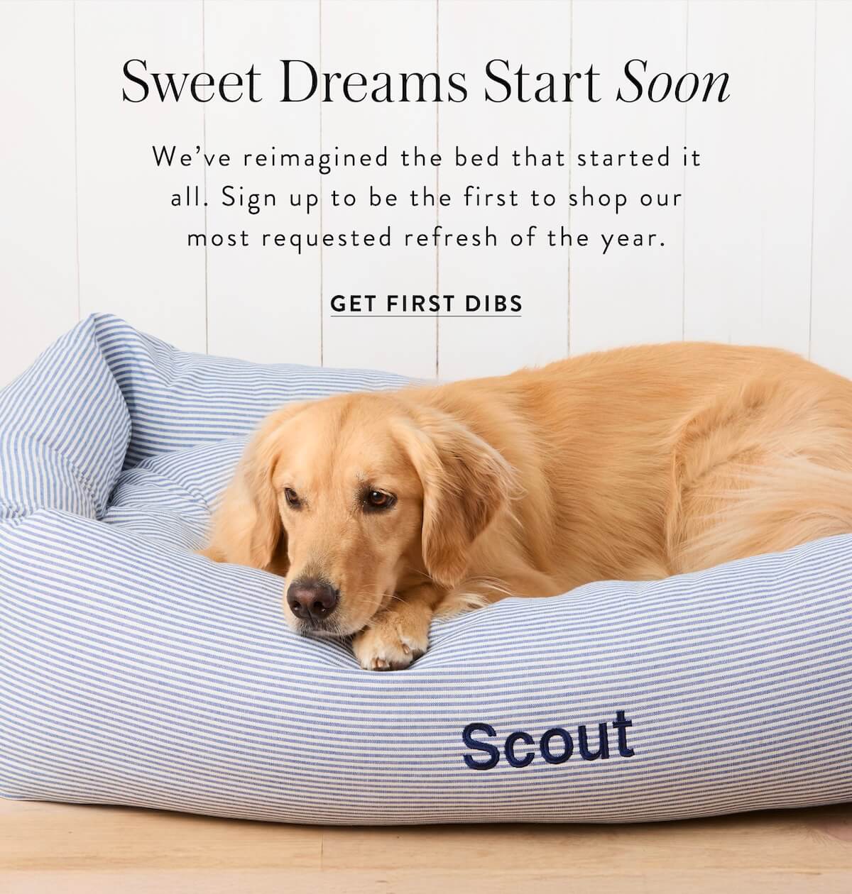 Get First Dibs