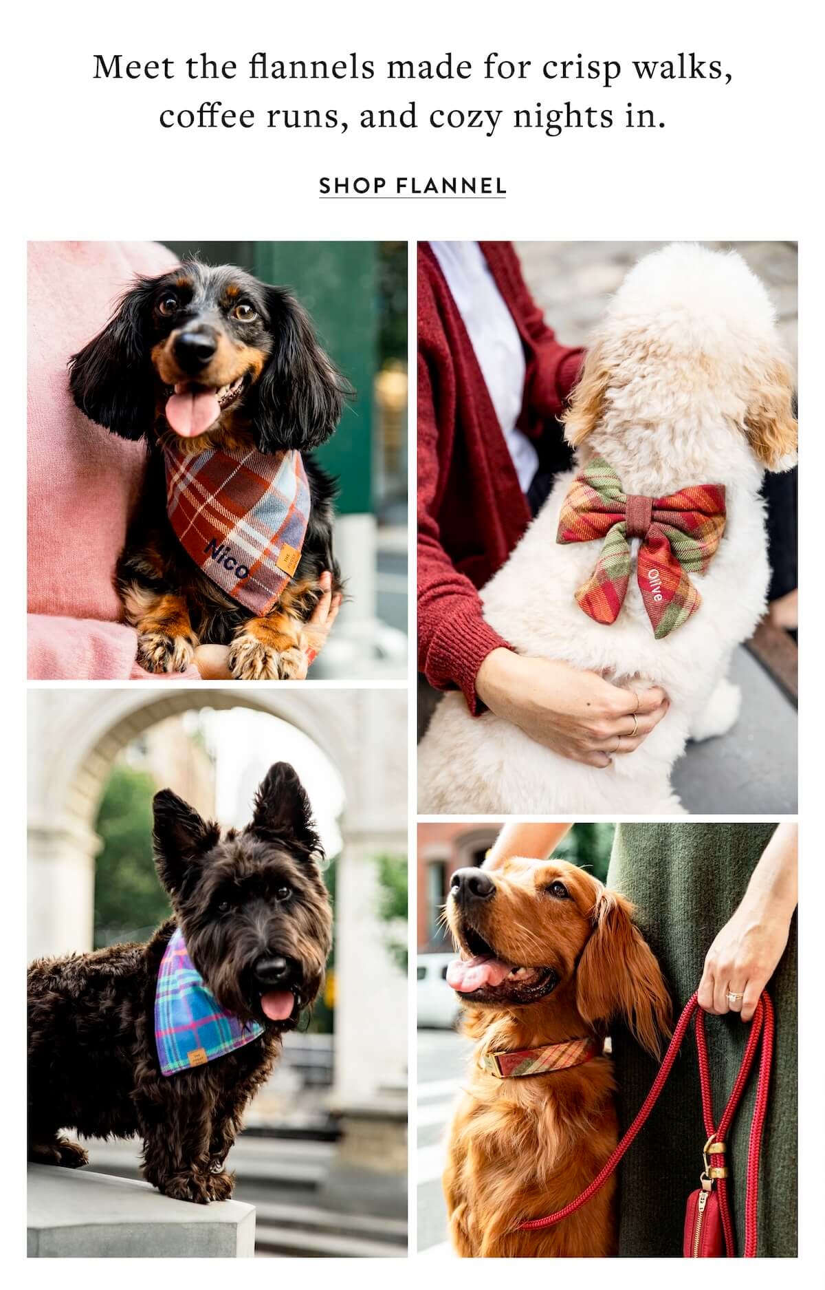 Shop Flannel 