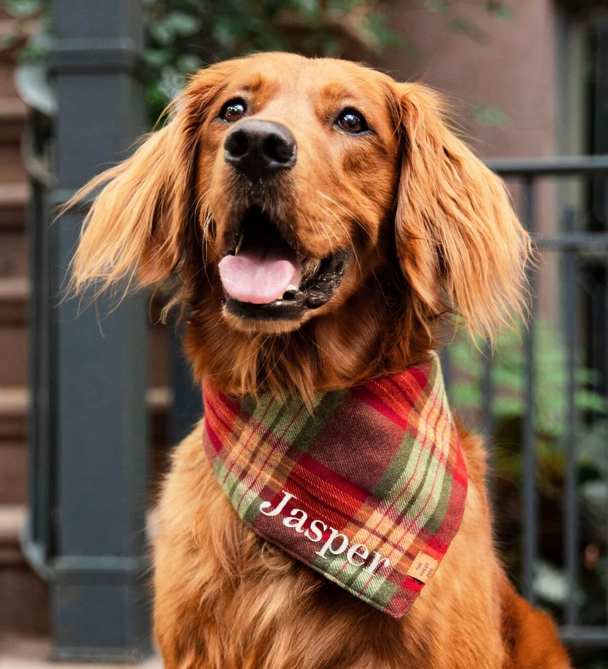Shop Pumpkin Spice Flannel
