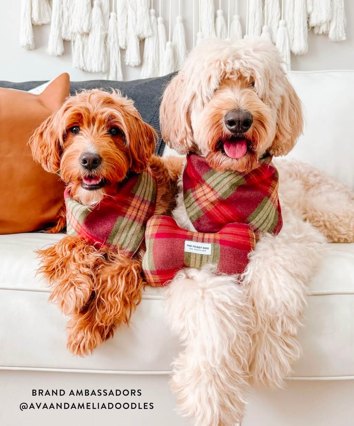 Shop Pumpkin Spice Flannel