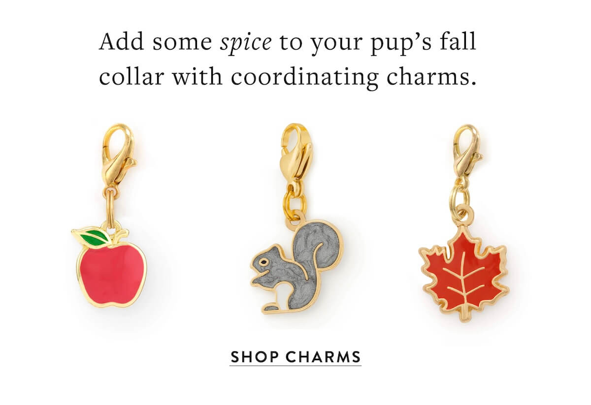 Shop Charms