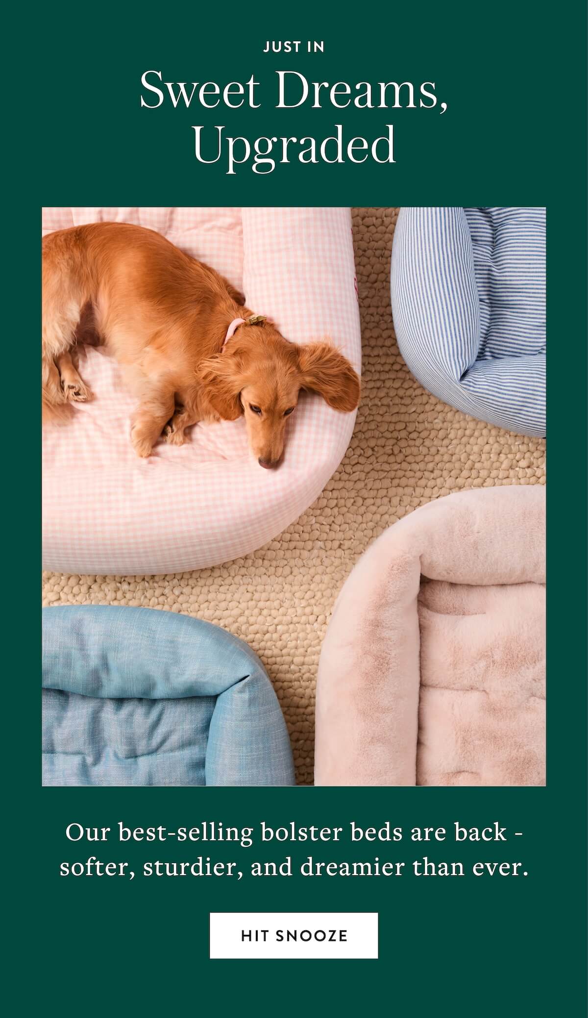 Shop Beds
