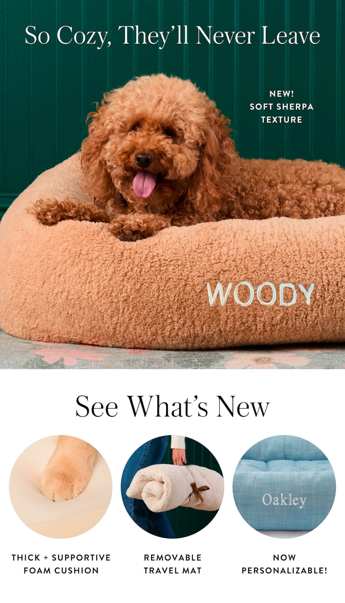 Shop Beds