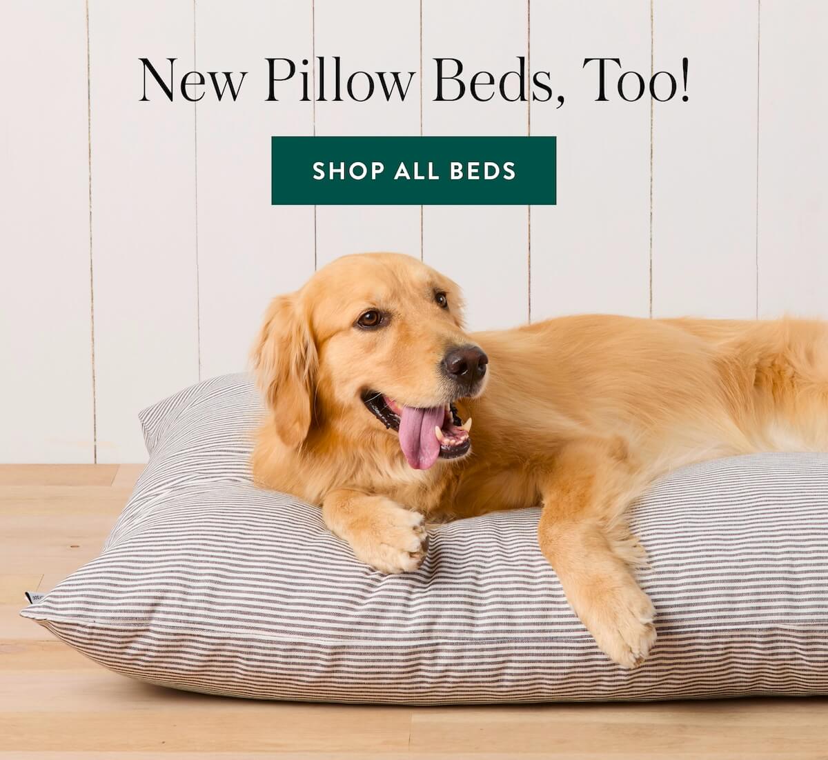 Shop Beds
