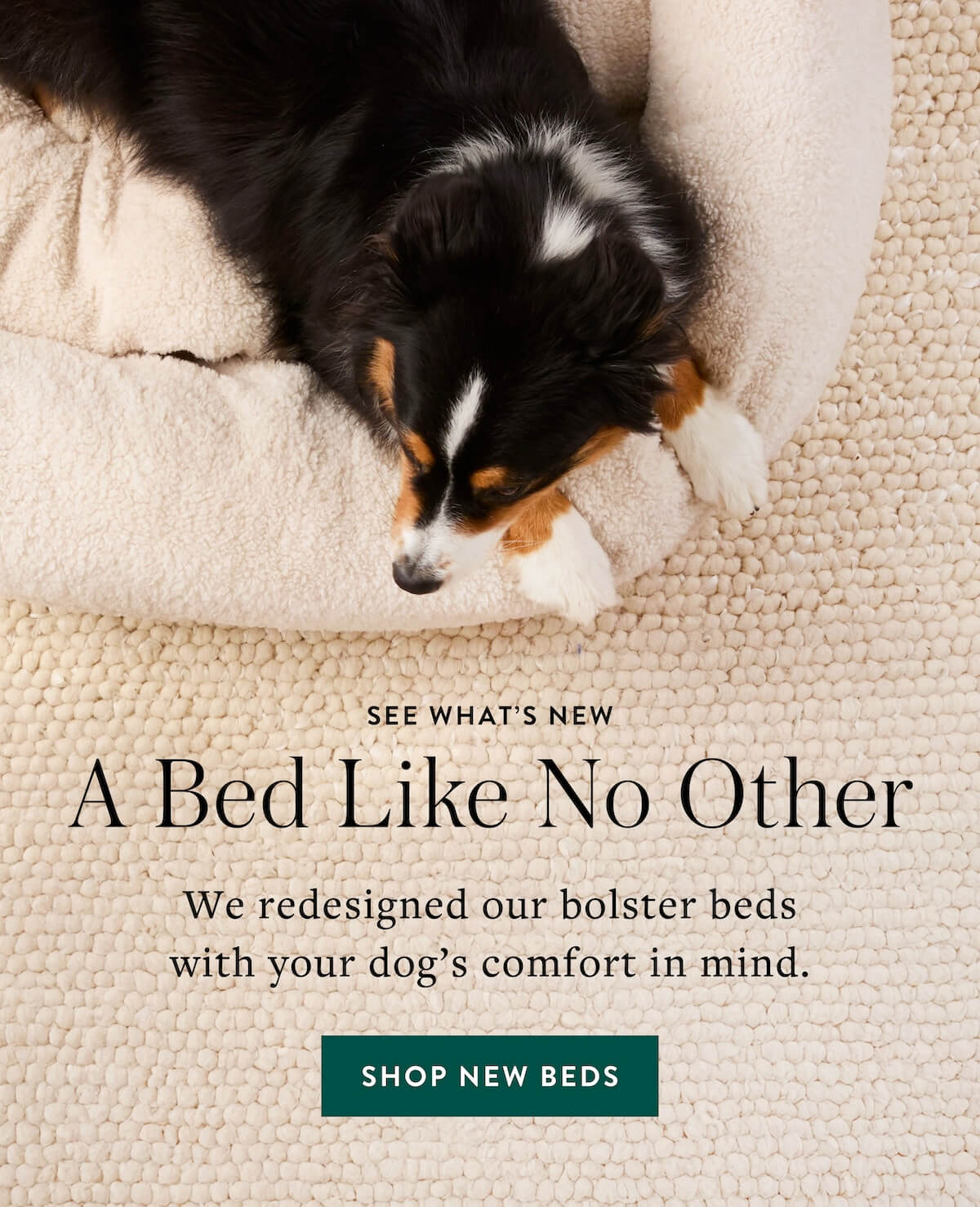Shop Beds
