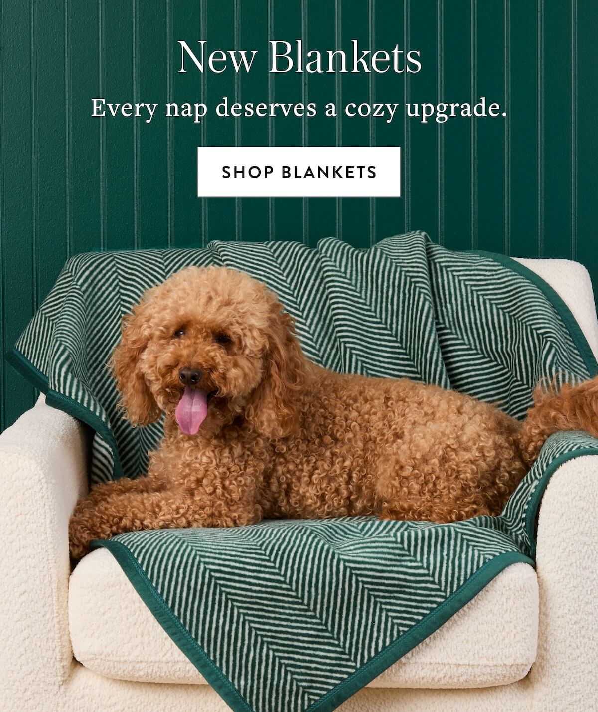 Shop Blankets