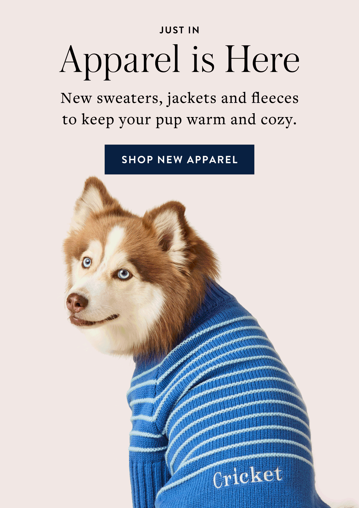 Shop Apparel