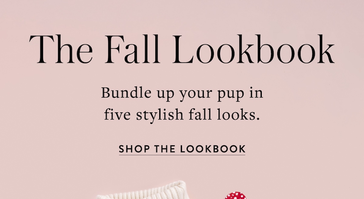 Shop The Lookbook