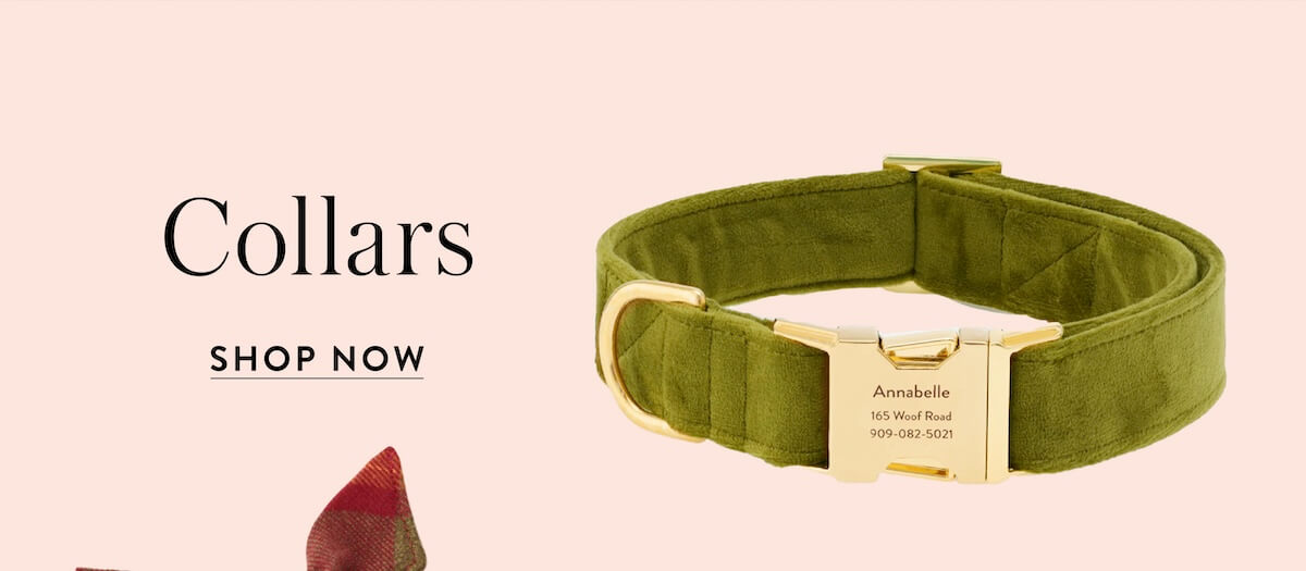 Shop Collars