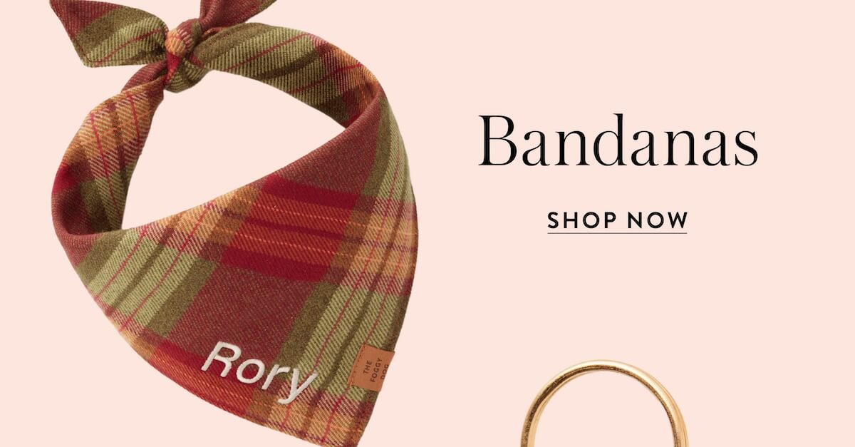 Shop Bandanas