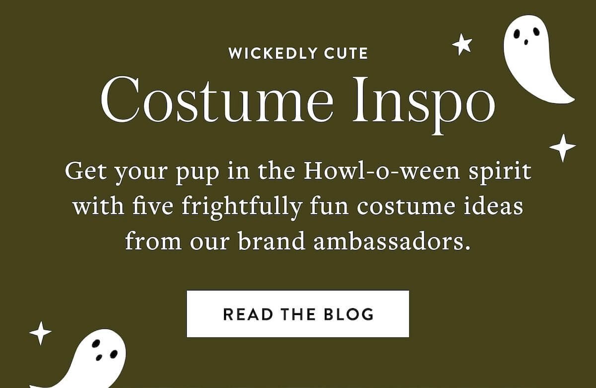 Shop Halloween Costume Blog