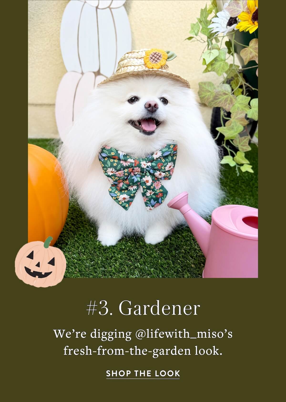Shop Halloween