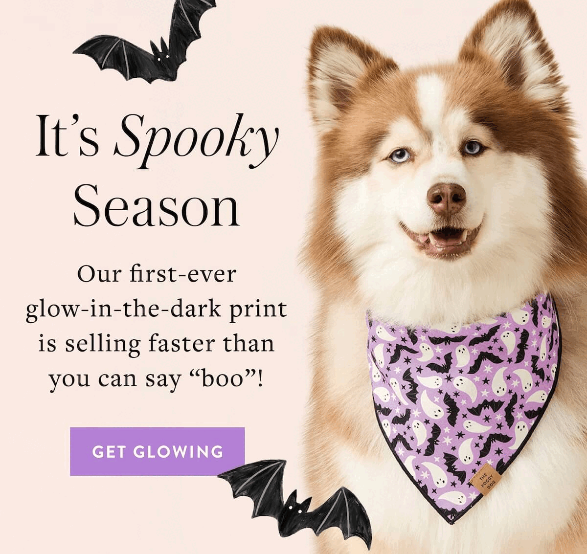 Shop Halloween