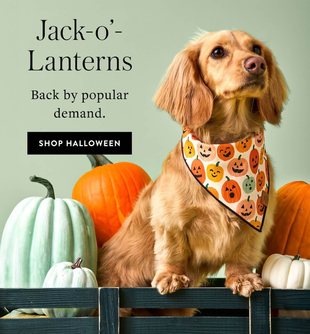 Shop Halloween