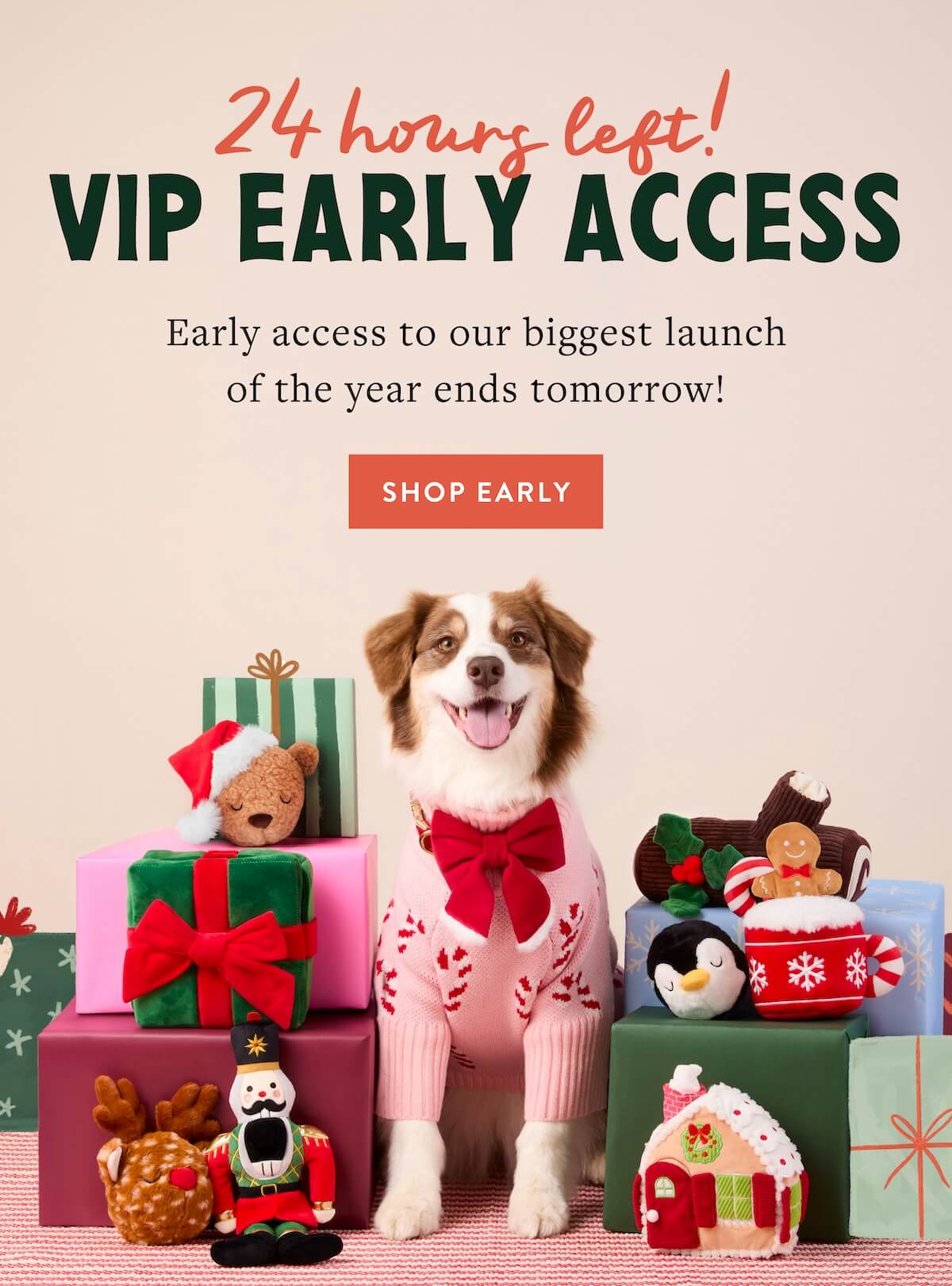 Shop Early